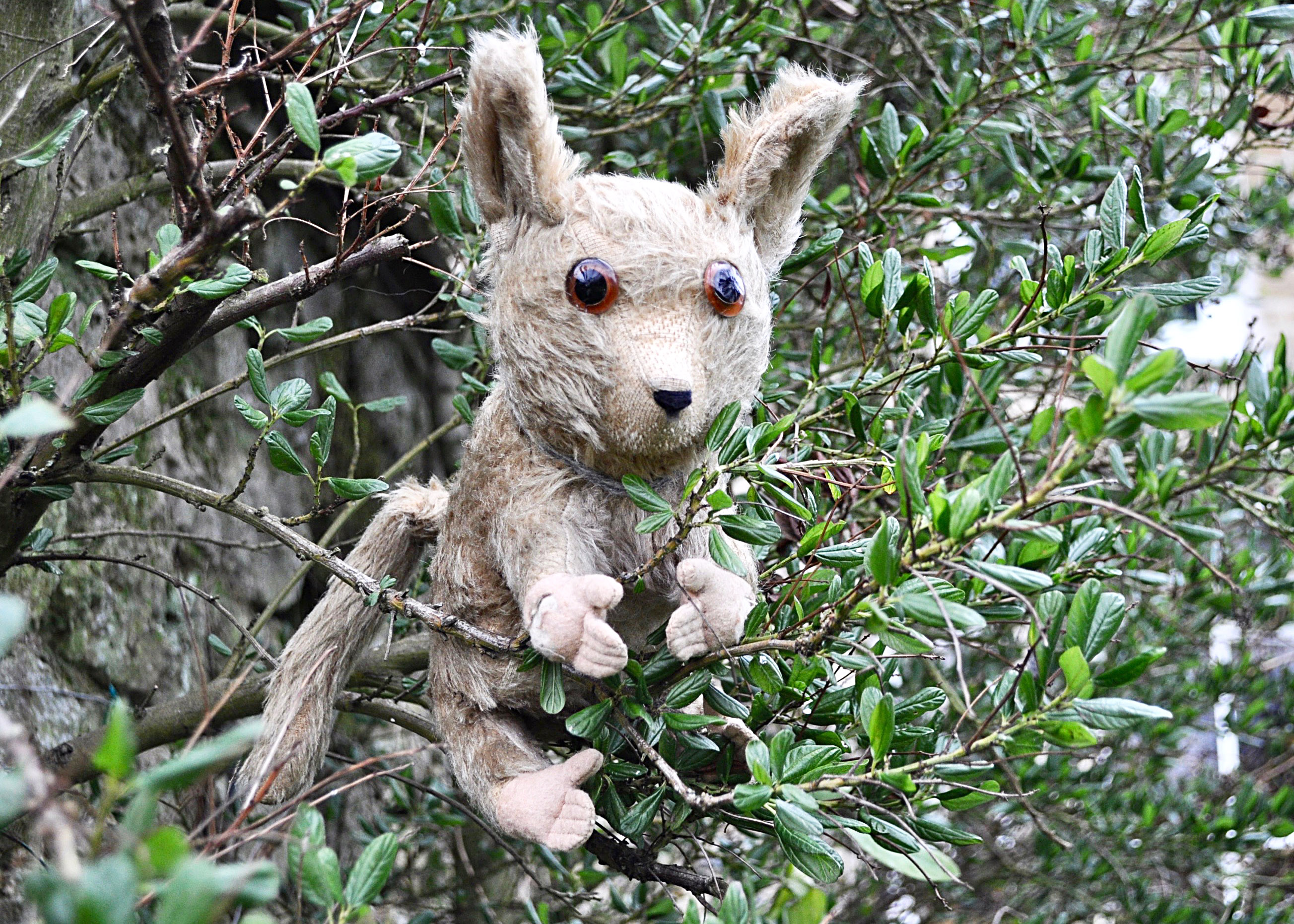 Baby a British Manufacturing Co Ltd Omega Bush Baby 1930s, with light brown mohair, large clear