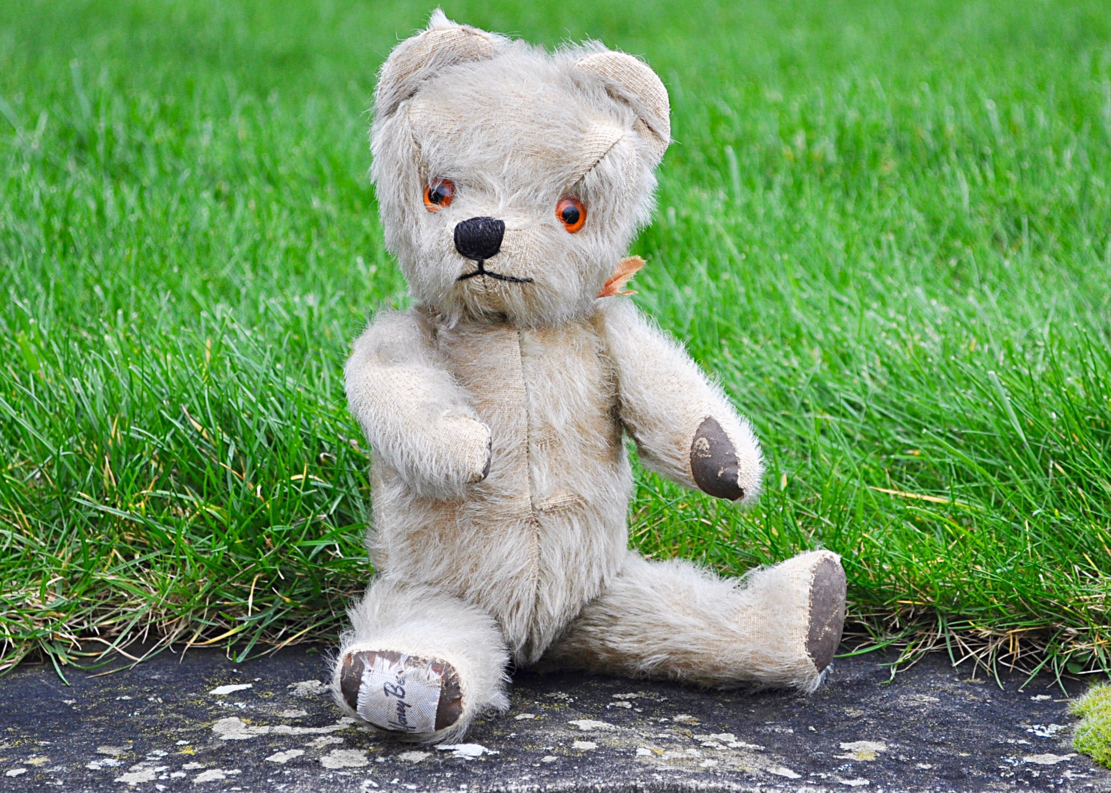 Honey a Honey Bear teddy bear 1950s, with blonde mohair, orange and black plastic eyes, black