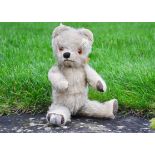 Honey a Honey Bear teddy bear 1950s, with blonde mohair, orange and black plastic eyes, black