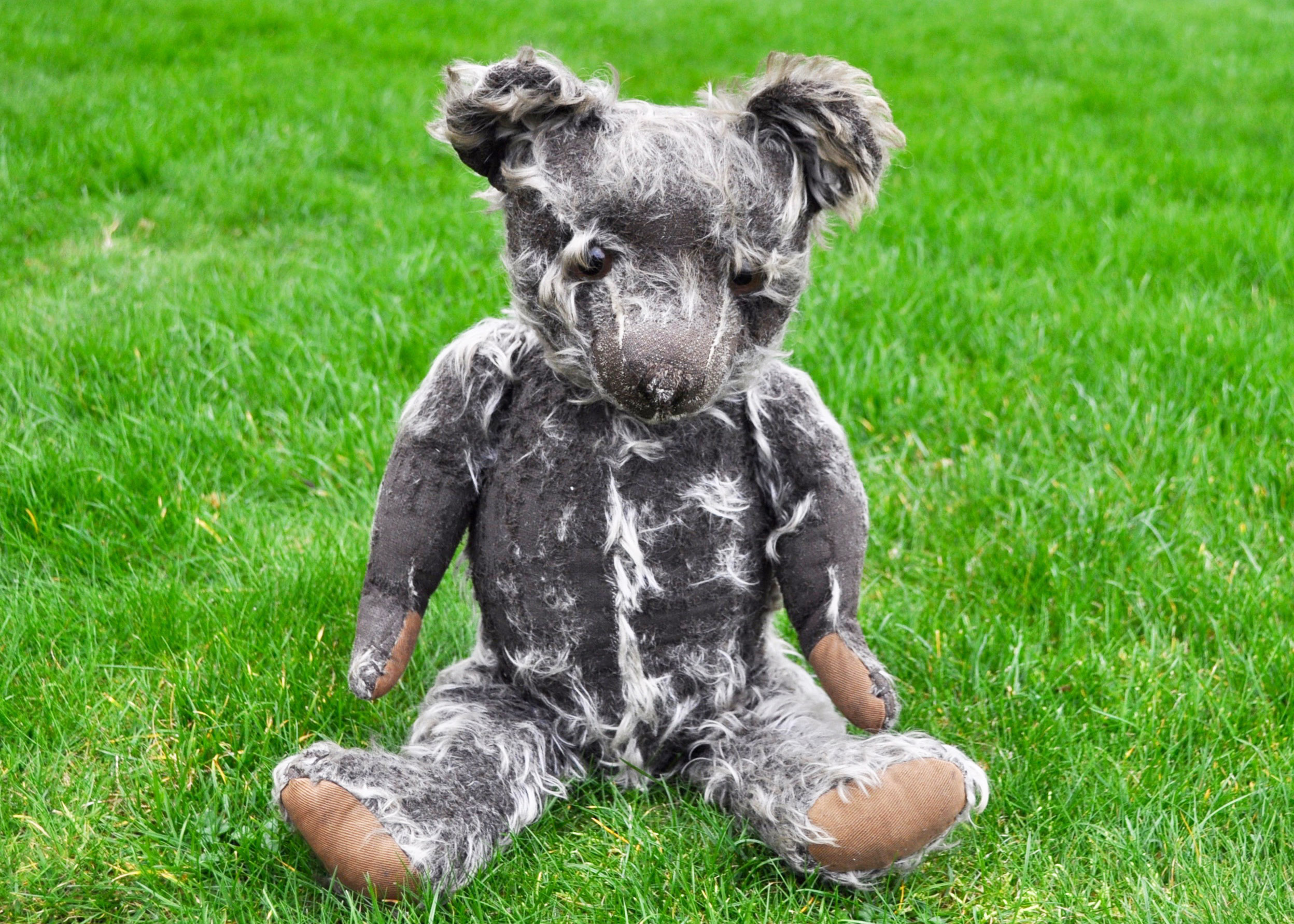 Mr T T a rare British black and grey teddy bear 1920s, possibly Teddy Toy Company with an