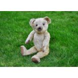 Lily a British teddy bear 1920s, with blonde mohair, clear and black oily glass eyes with remains of