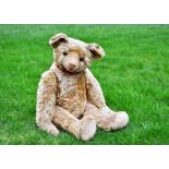 Daffyd a British United Toy Manufacturing Co Ltd Omega teddy bear, with golden mohair, clear and