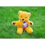 Talkie Teddy a Blue Ribbon Playthings talking teddy bear 1960s, with bright golden mohair, orange