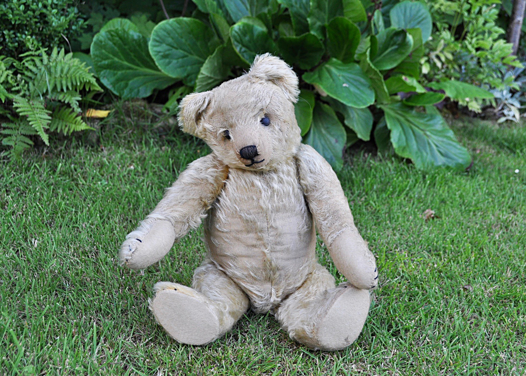 Deiter a British teddy bear 1920s, possibly Teddy Toy Company with golden mohair, replaced boot