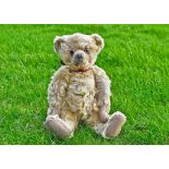 Bradshaw a Terry type teddy bear 1920s, with blonde mohair, clear and black glass eyes with brown