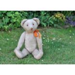 Lofty an Eduard Cramer teddy bear 1920s, with pink mohair now faded to white, clear and black