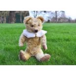 Scrumptious an early British teddy bear 1920s, with blonde mohair, clear and black glass eyes with