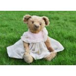 Tallulah Trott a Terrys teddy bear circa 1915, with golden mohair, clear and black oily glass eyes