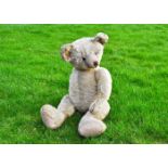 Spam, a large British teddy bear 1920s, with blonde mohair, clear and black oily glass eyes with
