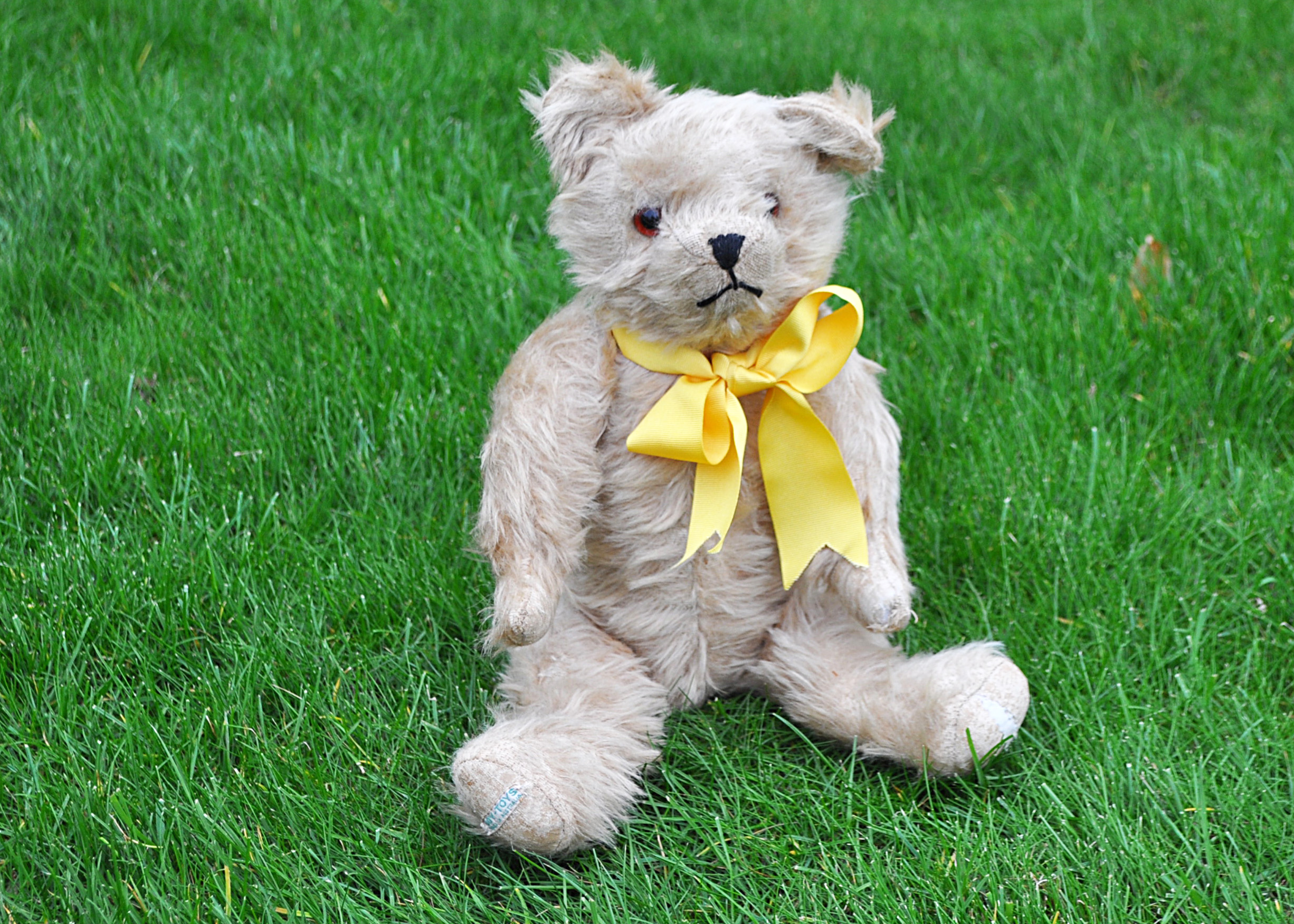 Larry a Joy Toys (Australia) teddy bear 1940s, with beige mohair, orange and black glass eyes,