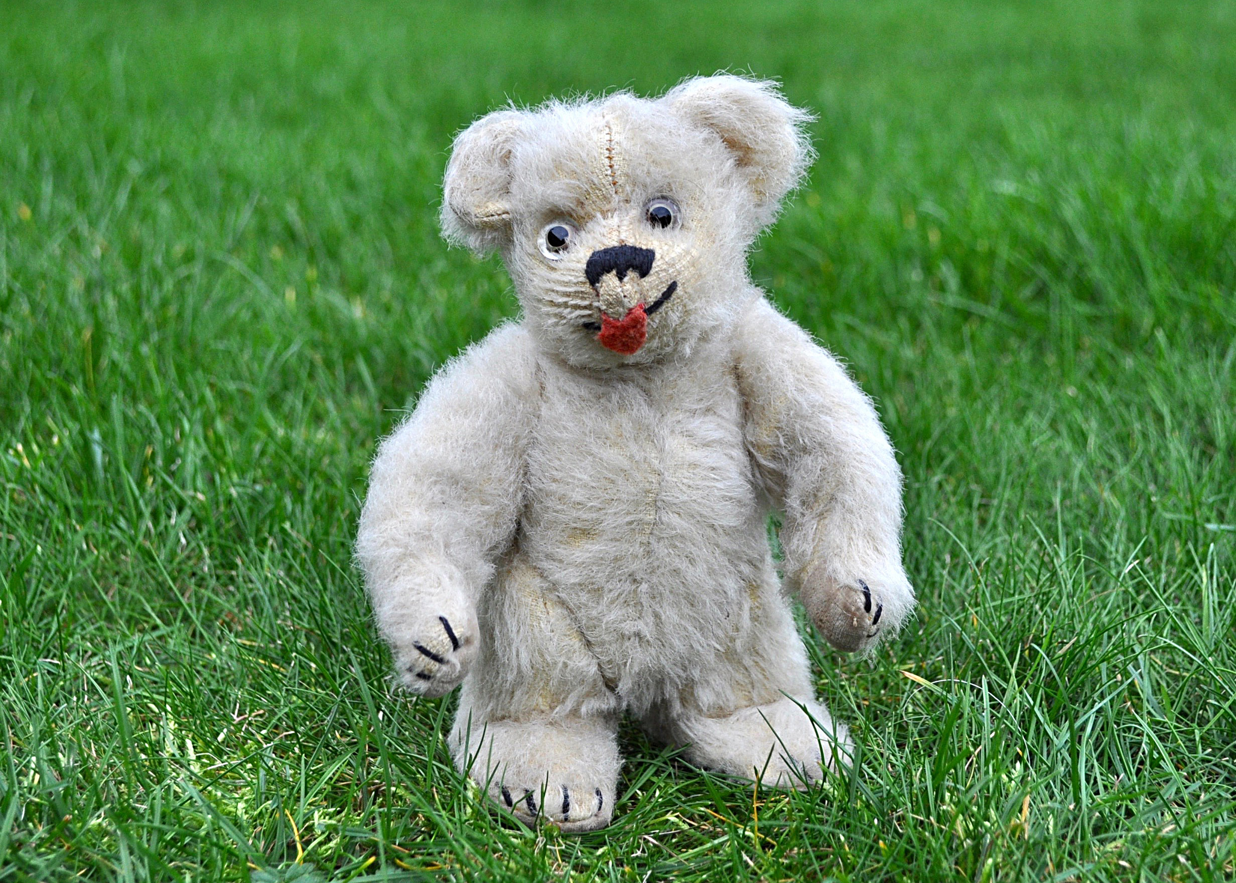 Bear Cub a rare Moritz Pappe teddy bear cub 1930s, with cream wool plush, clear and black glass eyes