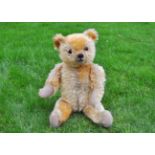 Orville a British Manufacturing Co Ltd Omega teddy bear 1930s, with golden mohair, orange and