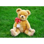 Acton Golden Boy an interesting Acton Toycraft Ltd teddy bear 1950s, with golden mohair, orange