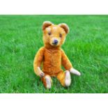 Little Job a Jopi teddy bear 1930s, with cinnamon mohair, clear and black glass eyes with brown