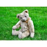 Mr Elphick Roots a British United Manufacturing Co Ltd Omega teddy bear circa 1920, with light