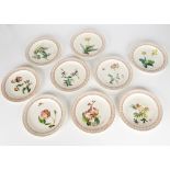 A set of nine 19th Century Copeland botanical dessert plates, all decorated with transfer printed