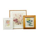 A small collection of 19th Century and later botanical prints, watercolours, including a maple