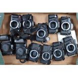 A Tray of 35mm SLR Camera Bodies, including Nikon F50, F-601, Pentax P30 (3), Super A, Vivitar XV-