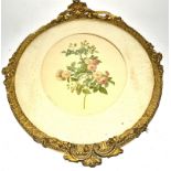 A botanical print in ornate gilt frame, length 66cm