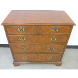 A contemporary Georgian style burr walnut chest, of two short and three graduated drawers, moulded