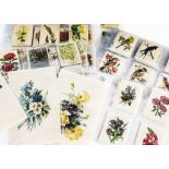 Floral and Bird Silk Issues, various issues comprising, Wills Popular Flowers (50 M) all with