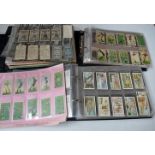 Six albums of mainly overseas cards, part sets and odds, BAT, Wills, Scissors, Chinese and more (