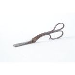 A Pair of 19th Century burnished steel Lund's Photograph Forceps, for insertion and removal of