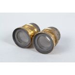 A Pair of Thornton-Pickard Rectoplanat Brass Lenses, each f/8, 9in approx focal length, barrels P-F,