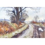 Geoff Bartlett 20th Century watercolour, A Quiet Lane, Dorset', signed (lower left) 'Geoff Bartlett,