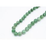A string of jadeite jade graduated beads, the knotted strung necklace 38cm together having no clasp,