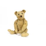 'Colonel' a Steiff 1920s teddy bear, with golden mohair, black boot button eyes, pronounced