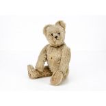 A Schuco Tricky yes/no musical teddy bear 1950s, with beige mohair, brown and black glass eyes,