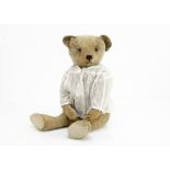 'Colonel Snout' a Strunz teddy bear circa 1910, with blonde mohair, black boot button eyes,