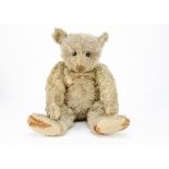 A rare Steiff white mohair centre-seam teddy bear circa 1908, with black boot button eyes,