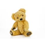 A post-war Chad Valley teddy bear, with golden mohair, orange and black glass eyes, black stitched