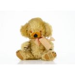 A small Merrythought Cheeky teddy bear 1960s, with golden mohair, orange and black plastic eyes,