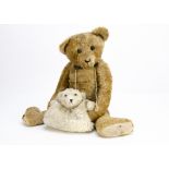 An antique style teddy bear, with exaggerated features, old large boot button eyes, antique leather,