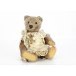 A 1950s Steiff teddy bear, with beige mohair, clear and black glass eyes with brown packs, muzzle