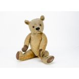 A Chad Valley Magna type teddy bear 1930s, with golden mohair, orange and black glass eyes,