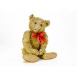 A 1920s Steiff teddy bear, with bright golden mohair, clear and black glass eyes with brown backs,
