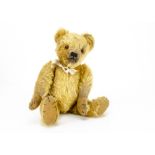 A 1930s Alpha Farnell teddy bear, with golden mohair, orange and black glass eyes, pronounced