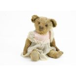 'Tallulah Trott' a Terrys teddy bear circa 1915, with golden mohair, clear and black oily eyes