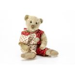 A Steiff white mohair teddy bear circa 1907, with black boot button eyes, pronounced clipped muzzle,
