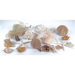 A small collection of shells and coral and sea urchins, the largest 23cm (quantity)