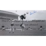 DENIS LAW B/w 12 x 8 photo showing the Scottish striker rising high to get to the ball ahead of