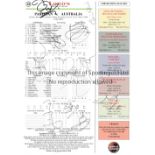 PAKISTAN V AUSTRALIA 2010 AUTOGRAPHS Scorecard for the Test Match at Lords in July 2010 signed by