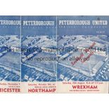 PETERBOROUGH A collection of 25 Peterborough United programmes from their first League season in