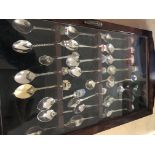 A small display case containing collectors spoons