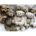 A collection of loose Teddy Bears, Perfect companion, x8