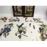 A portfolio of bird prints and two Japanese landscape paintings